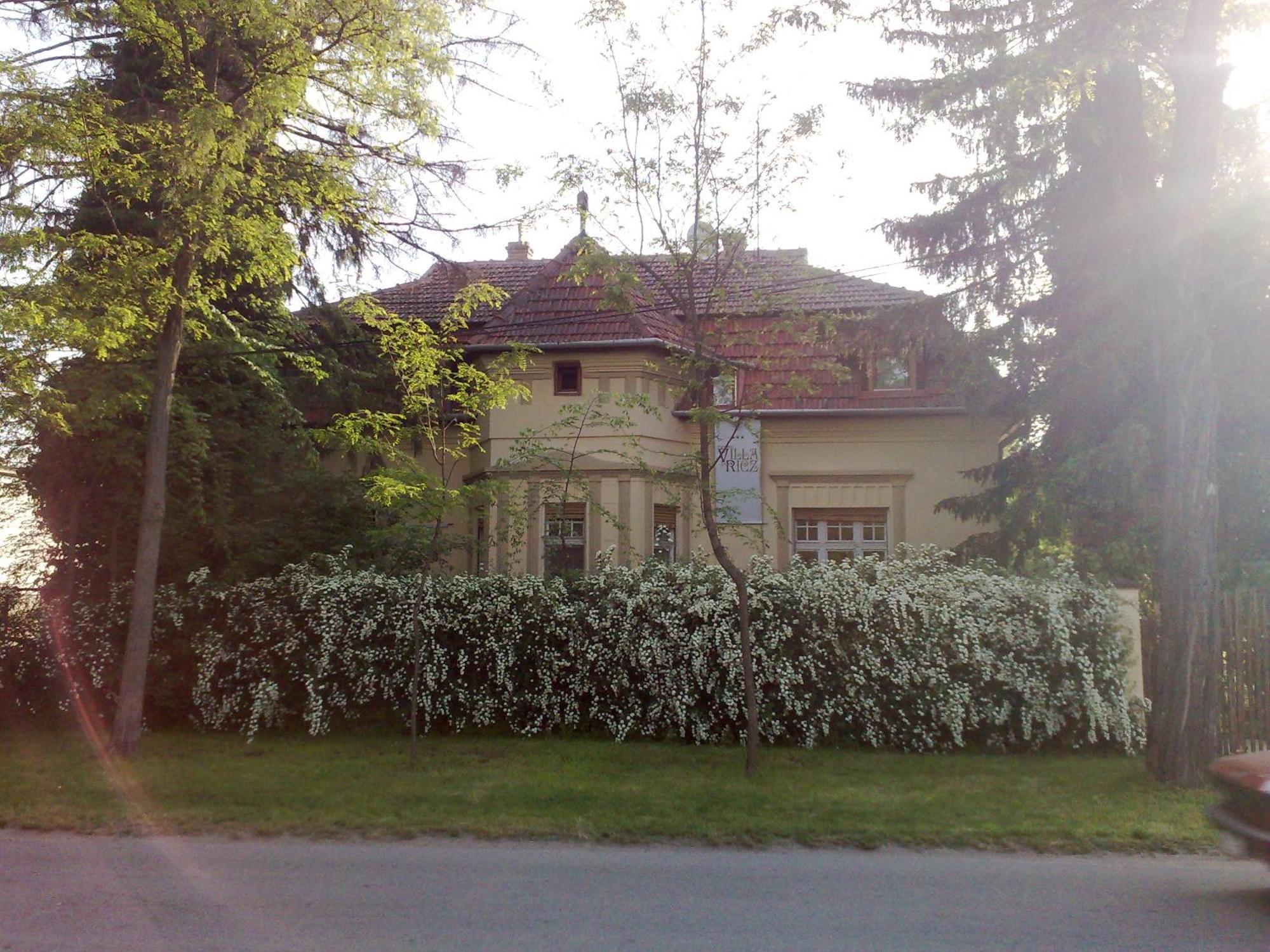 Villa Ricz Palić Exterior foto